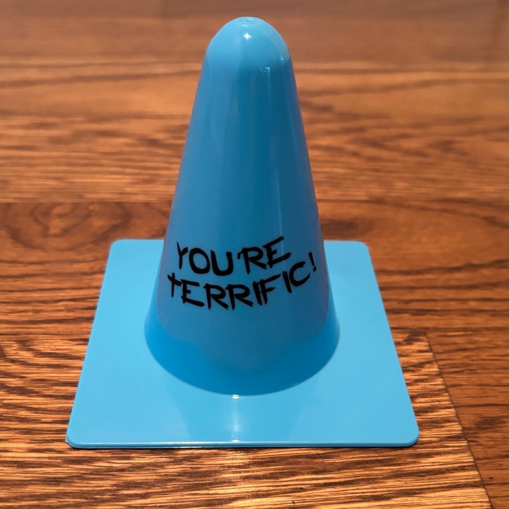 Set of 12 Cones-Teaching Tree Motivational Reward Cones “You’re Terrific”-Blue